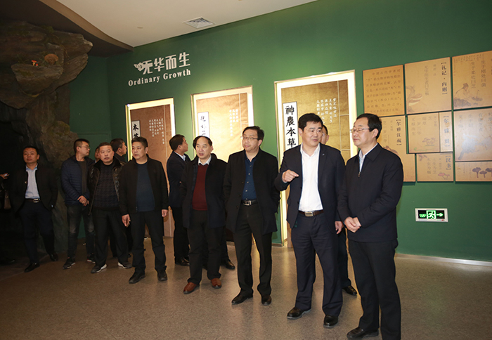 專(zhuān)題報(bào)道