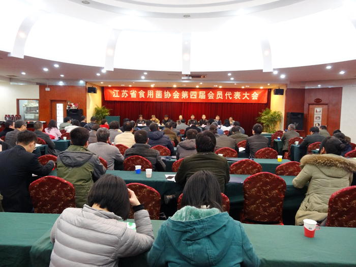 專(zhuān)題報(bào)道