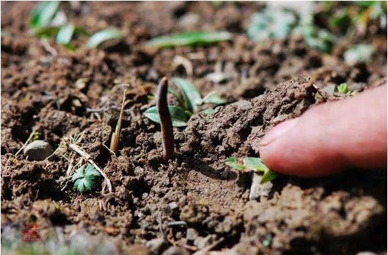 圖片關(guān)鍵詞 http://m.szgcled.cn/ewebeditor/uploadfile/20180921101313325001.png