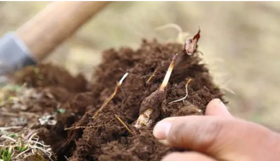 圖片關(guān)鍵詞 http://m.szgcled.cn/ewebeditor/uploadfile/20180921101228689001.png