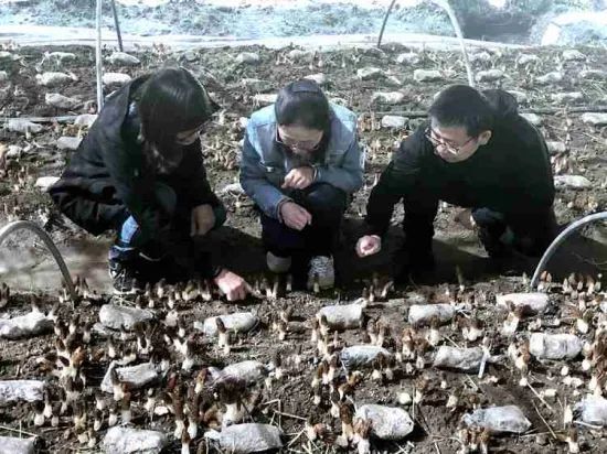 圖片關鍵詞 圖片關鍵詞