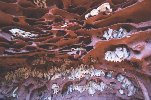 圖片關鍵詞 圖片關鍵詞