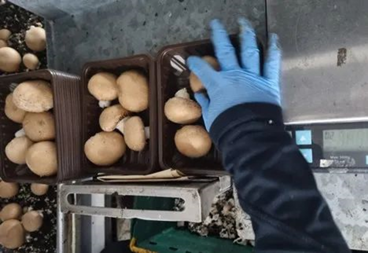 圖片關(guān)鍵詞 圖片關(guān)鍵詞