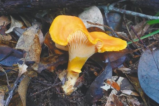 圖片關鍵詞 圖片關鍵詞