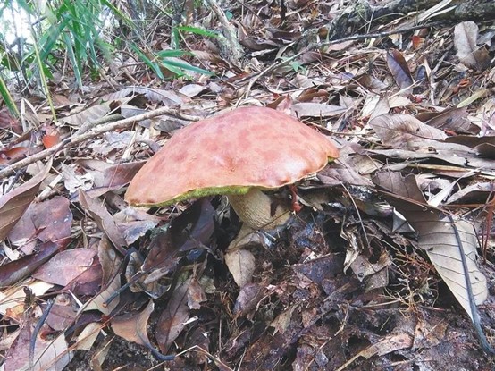 圖片關鍵詞 圖片關鍵詞