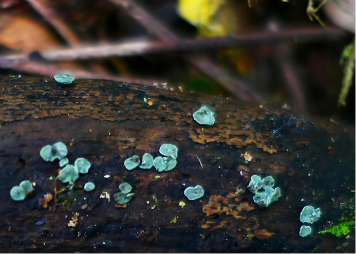 圖片關(guān)鍵詞