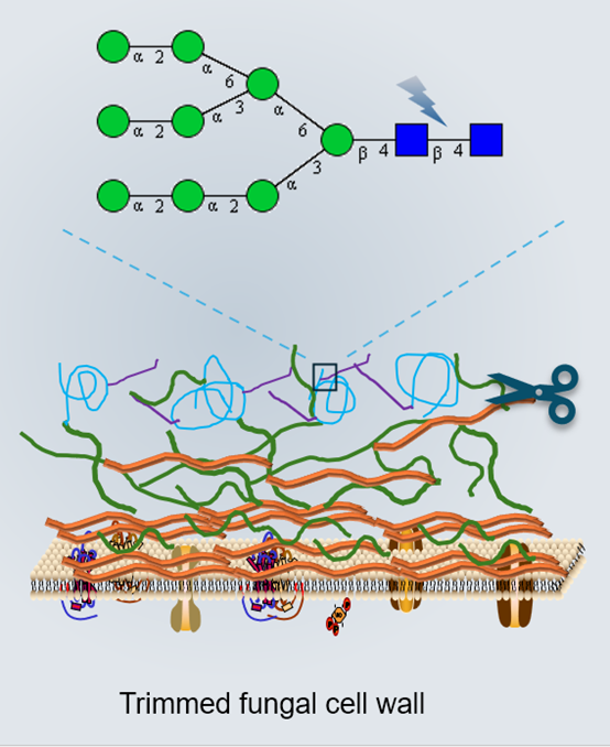 圖片關(guān)鍵詞
