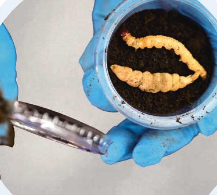 圖片關(guān)鍵詞 圖片關(guān)鍵詞